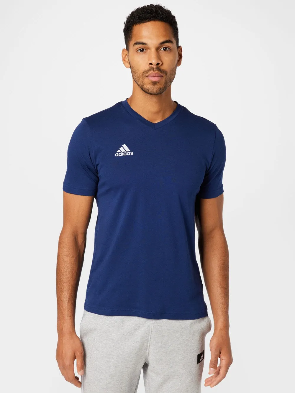 Adidas Entrada 22 Performance T-Shirt, Gentian